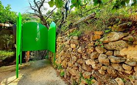 Il Limoneto di Lulù, holidays among the lemon trees
